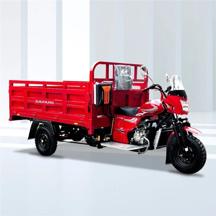 300cc Three Wheeler Moto Carga