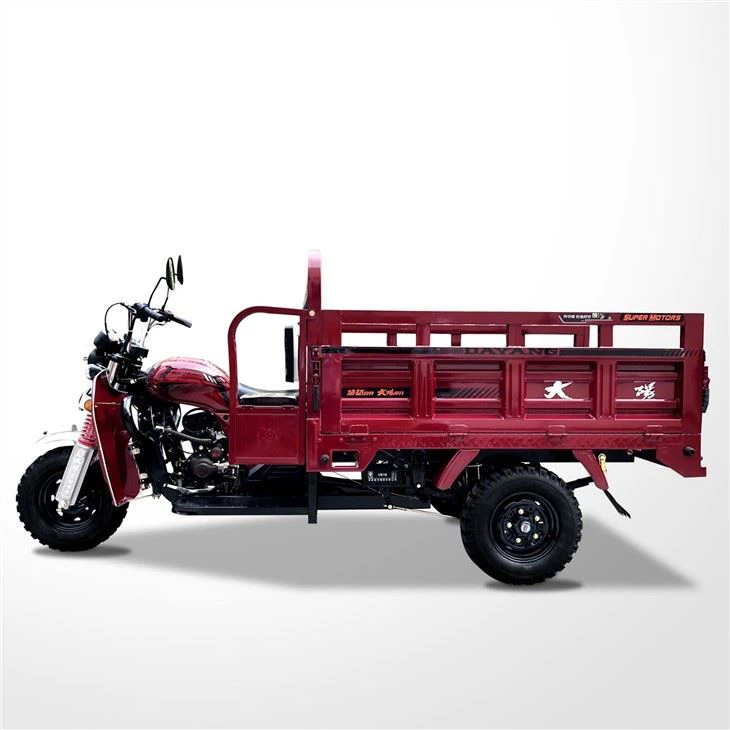 175cc Three Wheeler Motor Trike Hydraulic
