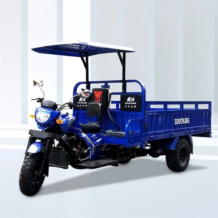 320cc Three Wheels Cargo Trimoto