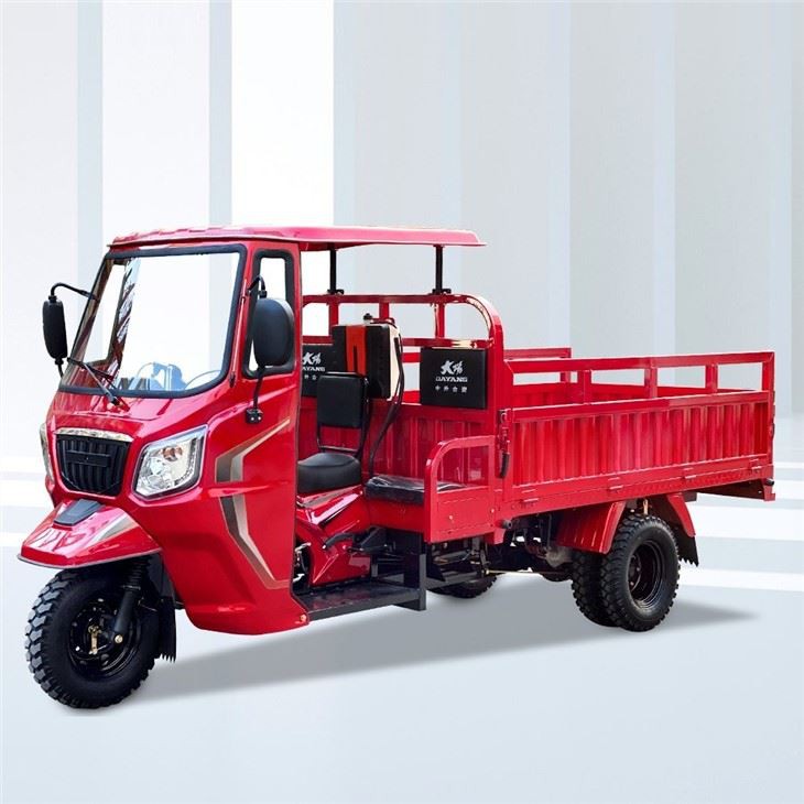 Three Wheels Moto De Carga