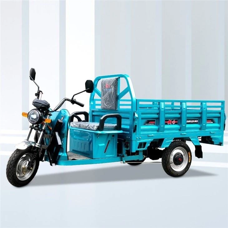 Triporteur Motorizado Trimoto