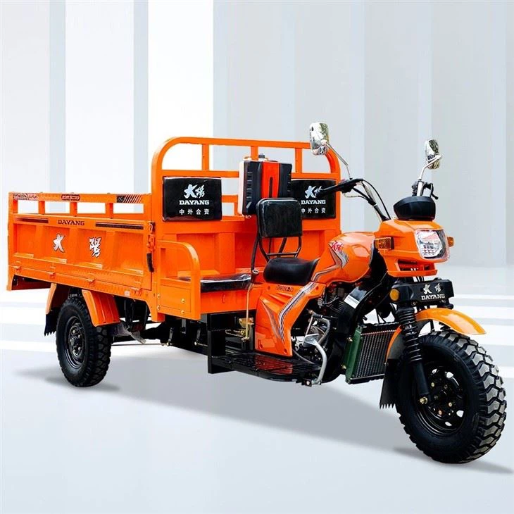 300cc Triporteur Tricar