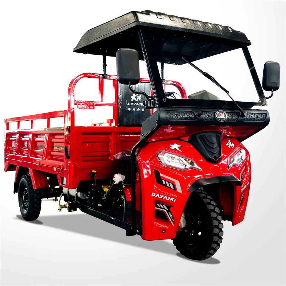 200cc Customized Cargo Tricycle