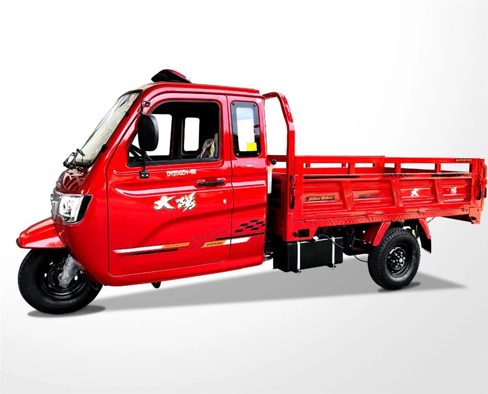 250cc Gasoline Truck 3 Wheel Motorized Cargo Tricycles