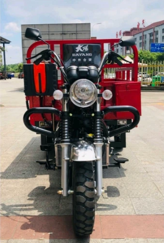 250cc Three Wheel Motorcycle Enclosed From China