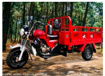 250cc Three Wheel Motorcycle Enclosed From China