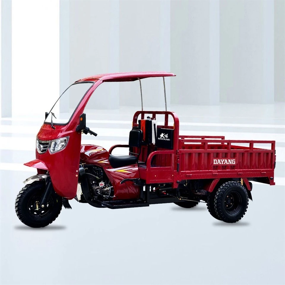 300cc Trike 3 Wheel Scooter Cargo Loader Rickshaw