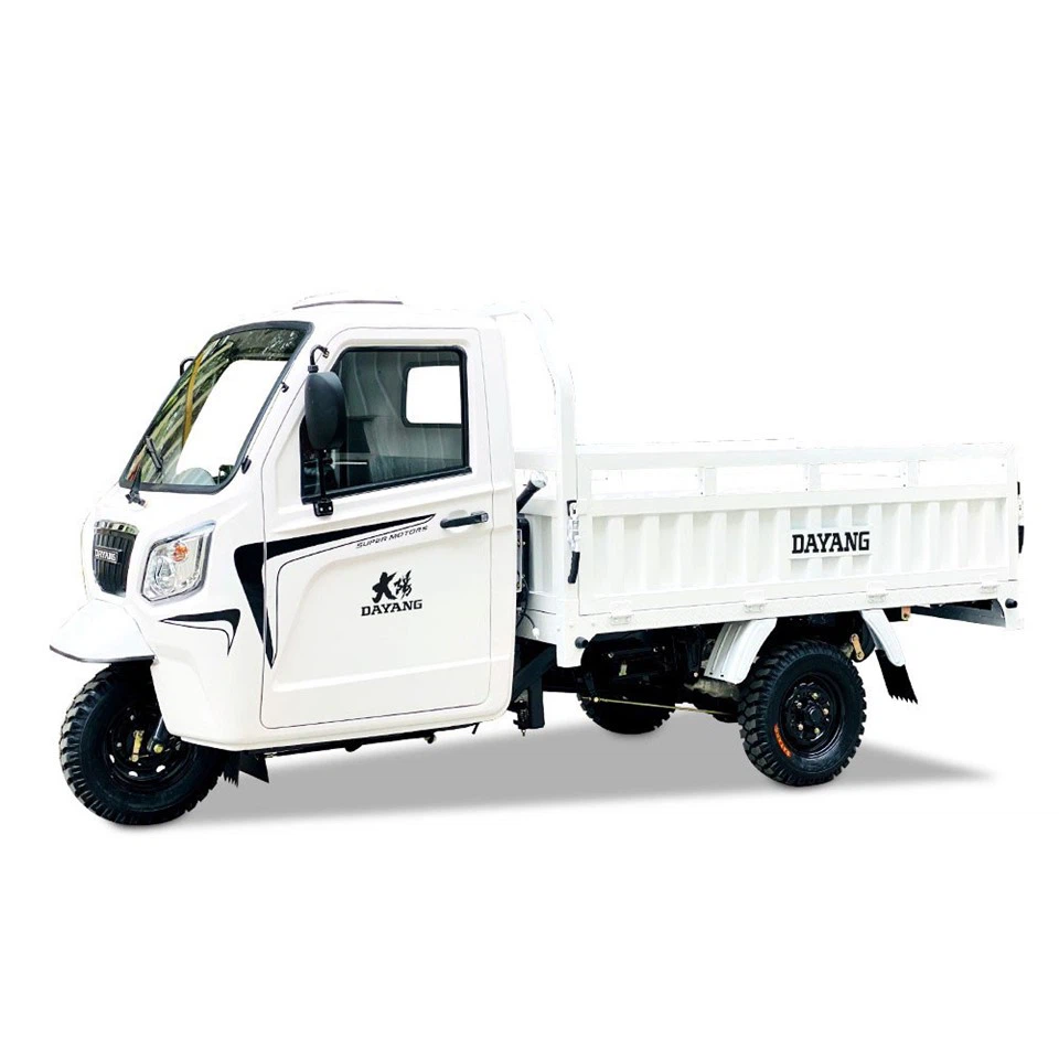 Adult Motorcycle 3 Wheeler Of Cargo Motorized Tricycles For Sale