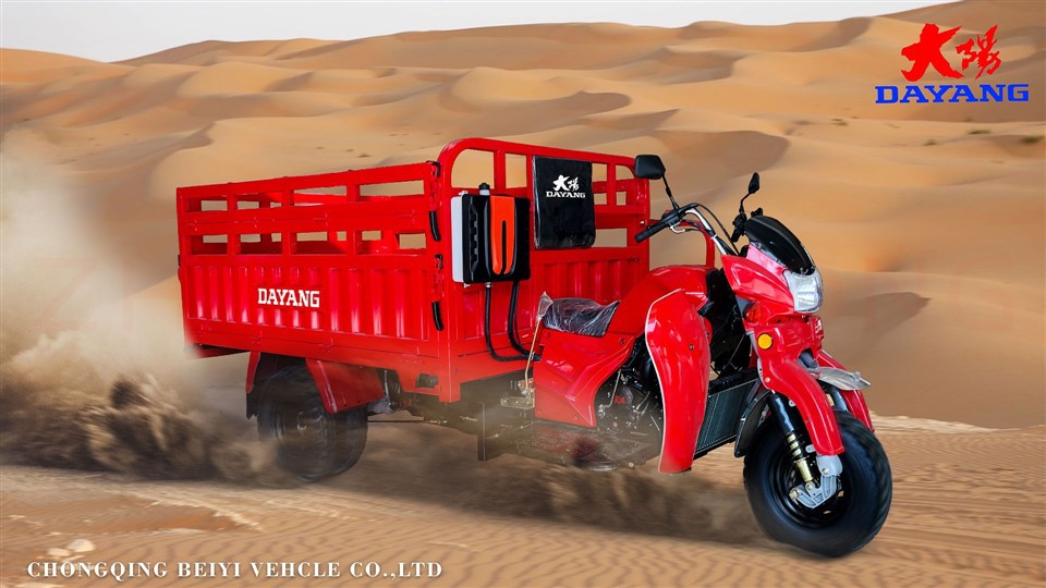DAYANG Cheap Convertible Motorized Tricycle For Tanzania DAYANG