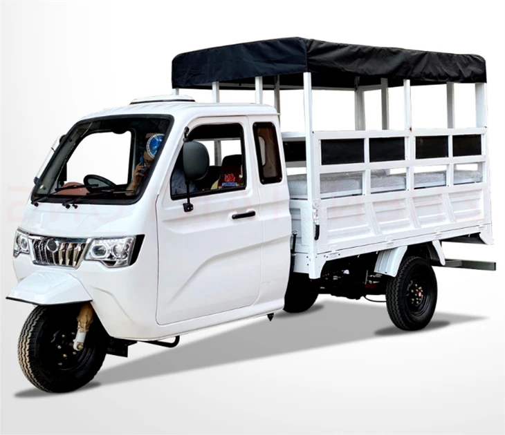 DAYANG DY-P2 Factory Price Wholesale Enclosed Cargo Tricycle
