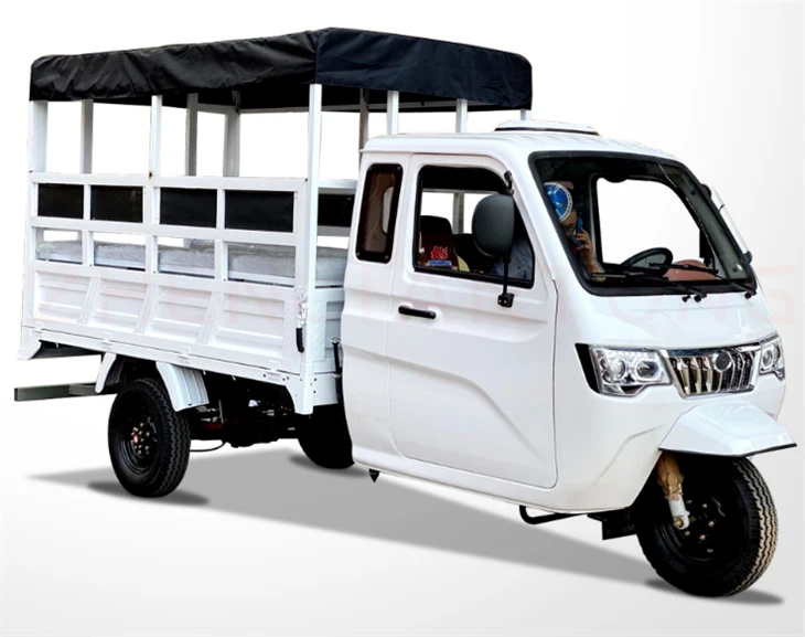 DAYANG DY-P2 Factory Price Wholesale Enclosed Cargo Tricycle