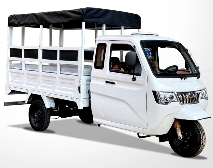 DAYANG DY-P2 Factory Price Wholesale Enclosed Cargo Tricycle