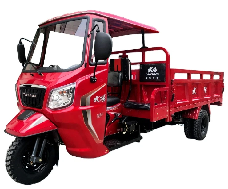DAYANG Hot-selling Stable 3 Wheeler Cargo Tuk-tuk