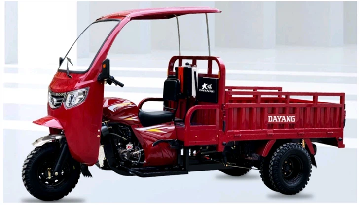 Dayang New Design Motorized Adult Passenger Cargo Tricycle