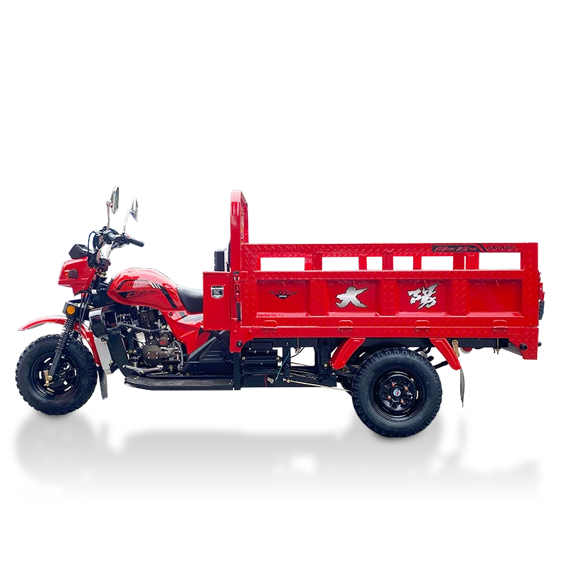 Gasoline Cargo Three Wheel Motorcycle