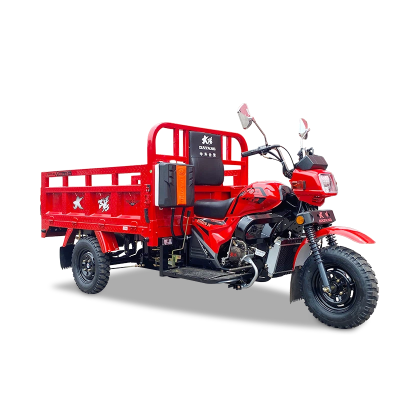 Gasoline Cargo Three Wheel Motorcycle