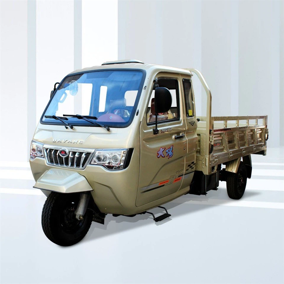 Gasoline Cargo Tricycle For Sale /Double Shock Absoption Three Wheeler Motorcycle