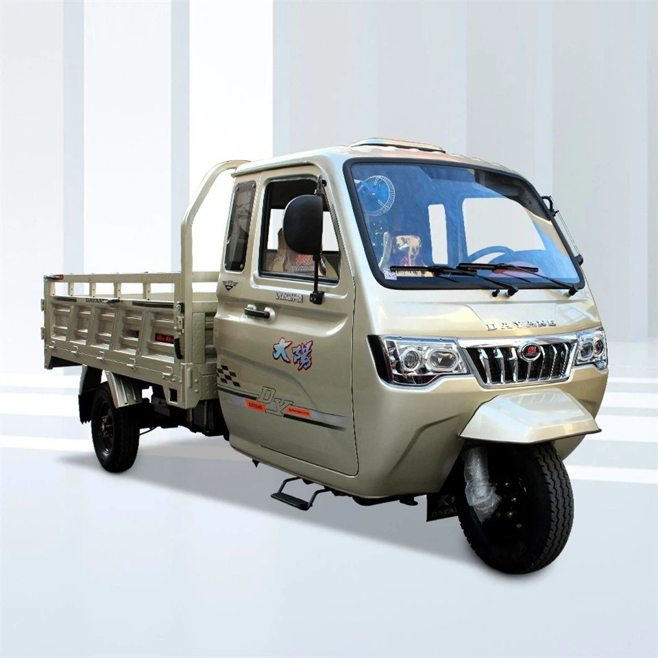 Gasoline Cargo Tricycle For Sale /Double Shock Absoption Three Wheeler Motorcycle