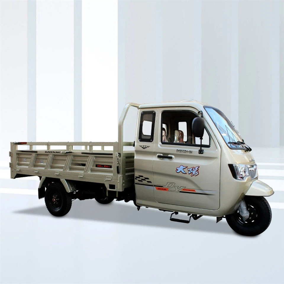 Gasoline Cargo Tricycle For Sale /Double Shock Absoption Three Wheeler Motorcycle