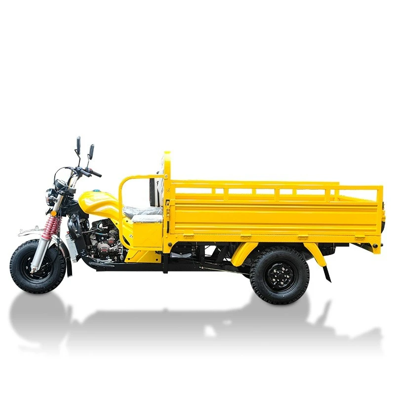 Hot-Sale Product 200cc250cc300cc Motorized Tricycle