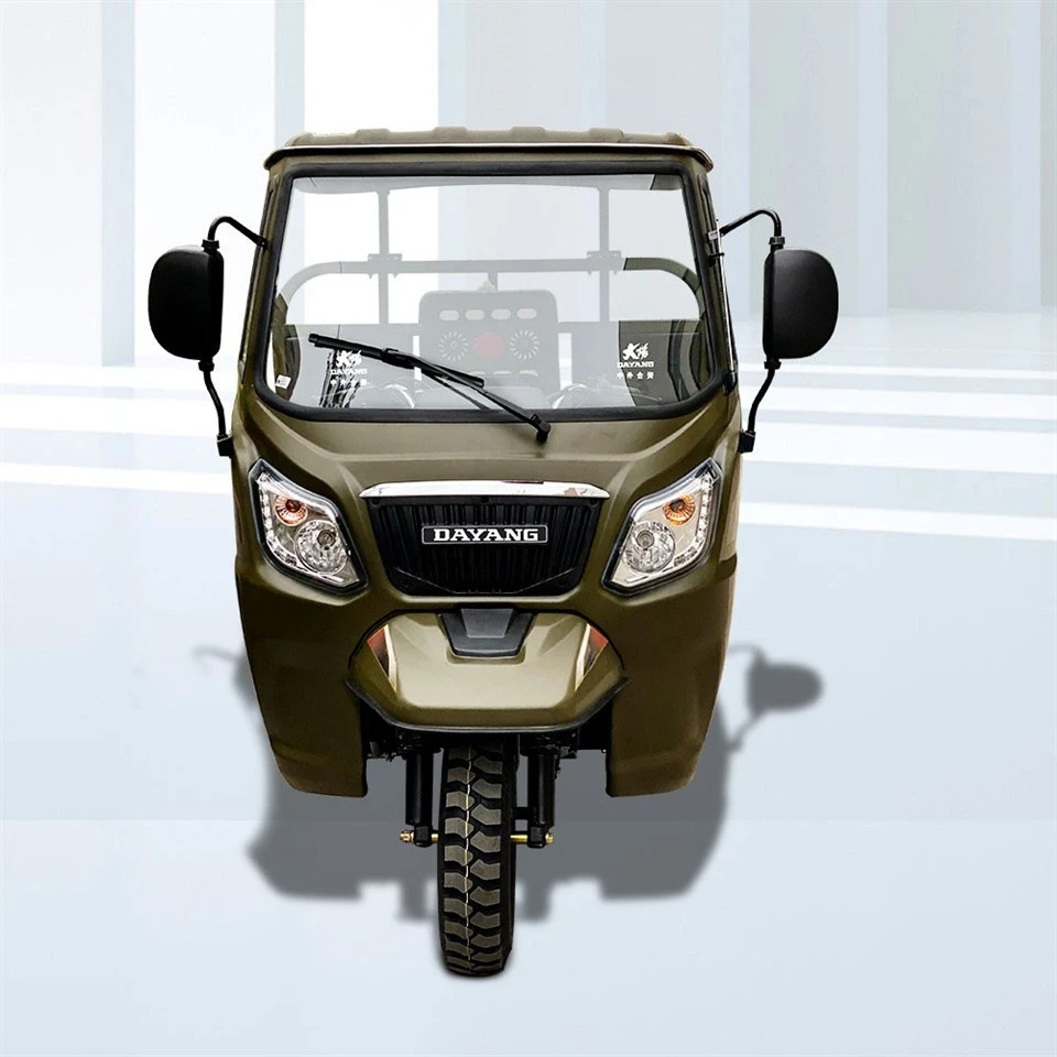 Hot Sell New Cargo Trike/Motorized Tricycle