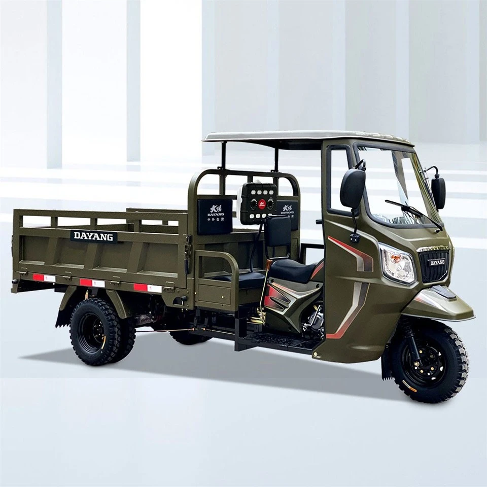 Hot Sell New Cargo Trike/Motorized Tricycle