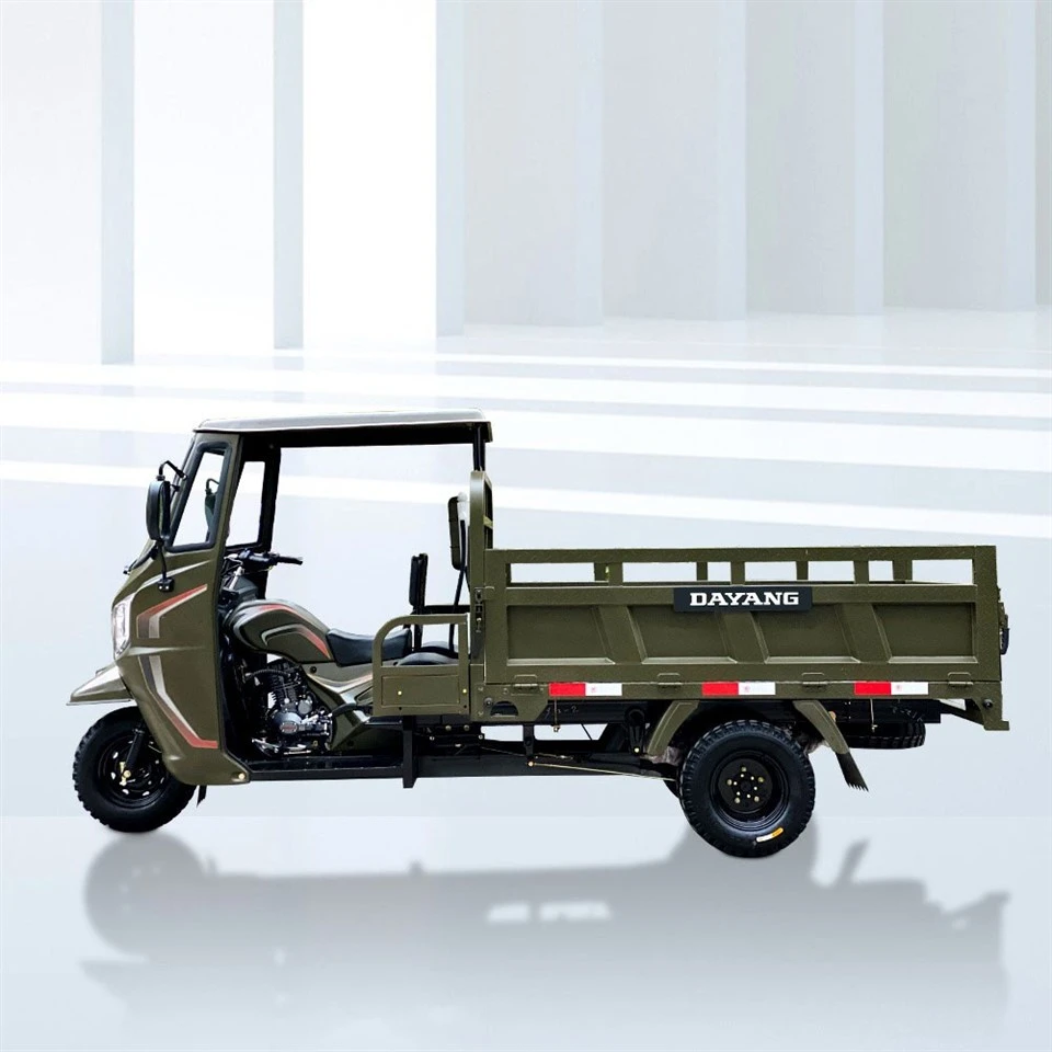 Hot Sell New Cargo Trike/Motorized Tricycle