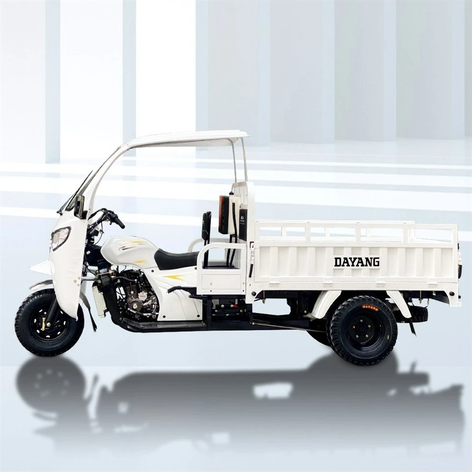 New Design Cabin Cargo Tricycle