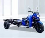 DAYANG New 300cc Petrol Three Wheels Cargo Tricycle