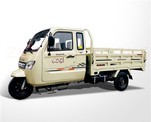 2024 New 250cc Cargo Tricycle Water-Cooled Engine