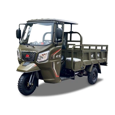 2025 New Tricycle Motorcycle