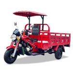 250cc 300cc 350cc Affordable Tricycle