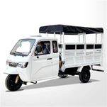 250cc 300cc 350cc Gasoline Petrol Three Wheeler Carguero Triciclo