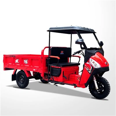 250cc Cargo Motor Tricycle Motorcycles
