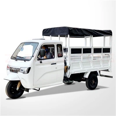 250cc Closed Three-wheel Motorcycle