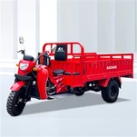 250cc Gasoline Three Wheel Adult Tricycle