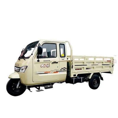 250cc Single-Cylinder Water-Cooled Engine/Three-Wheeled Motorcycle/Cargo Tricycle