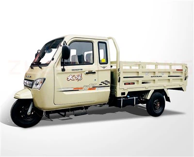 3 Wheel Electric Cargo Tricycle