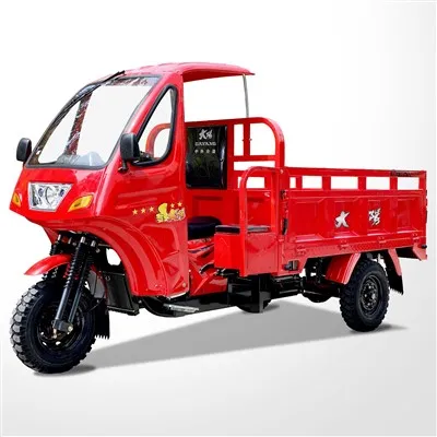 Cargo Tricycle Cargo Loader Passenger Tricycle Three Wheel