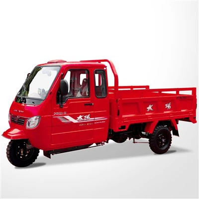 Cheaper Powerful 3-Wheeled Cargo Tricycle