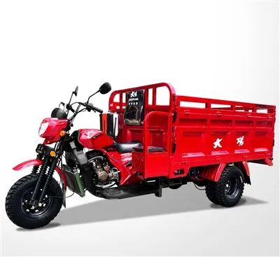 Chinese Threewheel Cargo Transporter