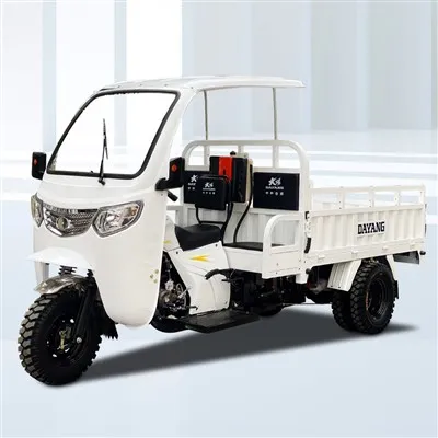 3 Wheel Cargo Dump Petrol Gasoline Diesel Motorcycle Motorized Tricycle Truck