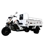 DAYANG Brand Chongqing New Carry Cargo Motorcycle 3 Wheels Gas Engine Water-cooled Tricycle Truck Sell in Africa