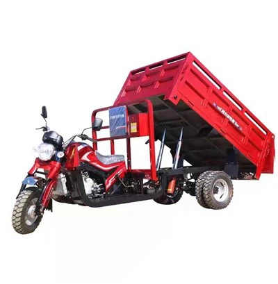 Dayang Hot Selling Three Wheeler Motorcycle Rickshaw