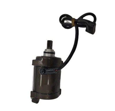 DAYANG LF150cc 250cc Motorcycle Engine Starting Dynamo Motor High Power For Tricycle Engine Spare Parts High Quality