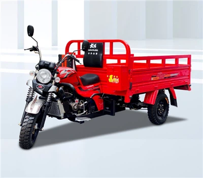 Durable 3 Wheeled Cabin Tricycle With High Performance And Low Price