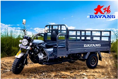 DY-200ZH-12 Dayang Brand Three Wheeled Motorcycle