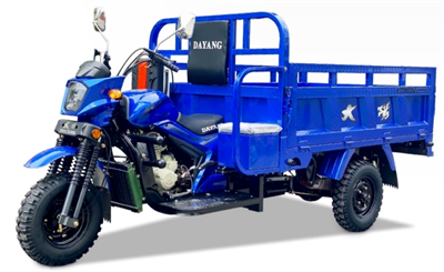 DY-200ZH Three Wheeled Motorcycle