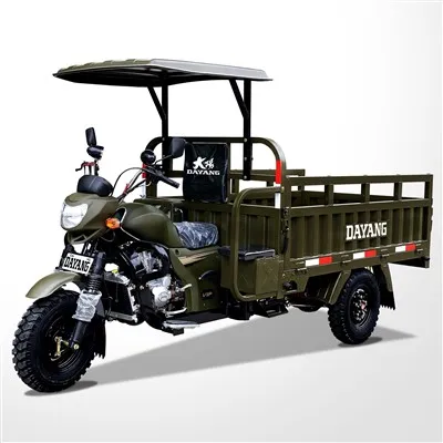 High Quality 300cc 3-wheeler Motorcycle Auto Rickshaw