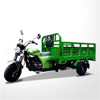 Factory Cargo Motor Tricycle
